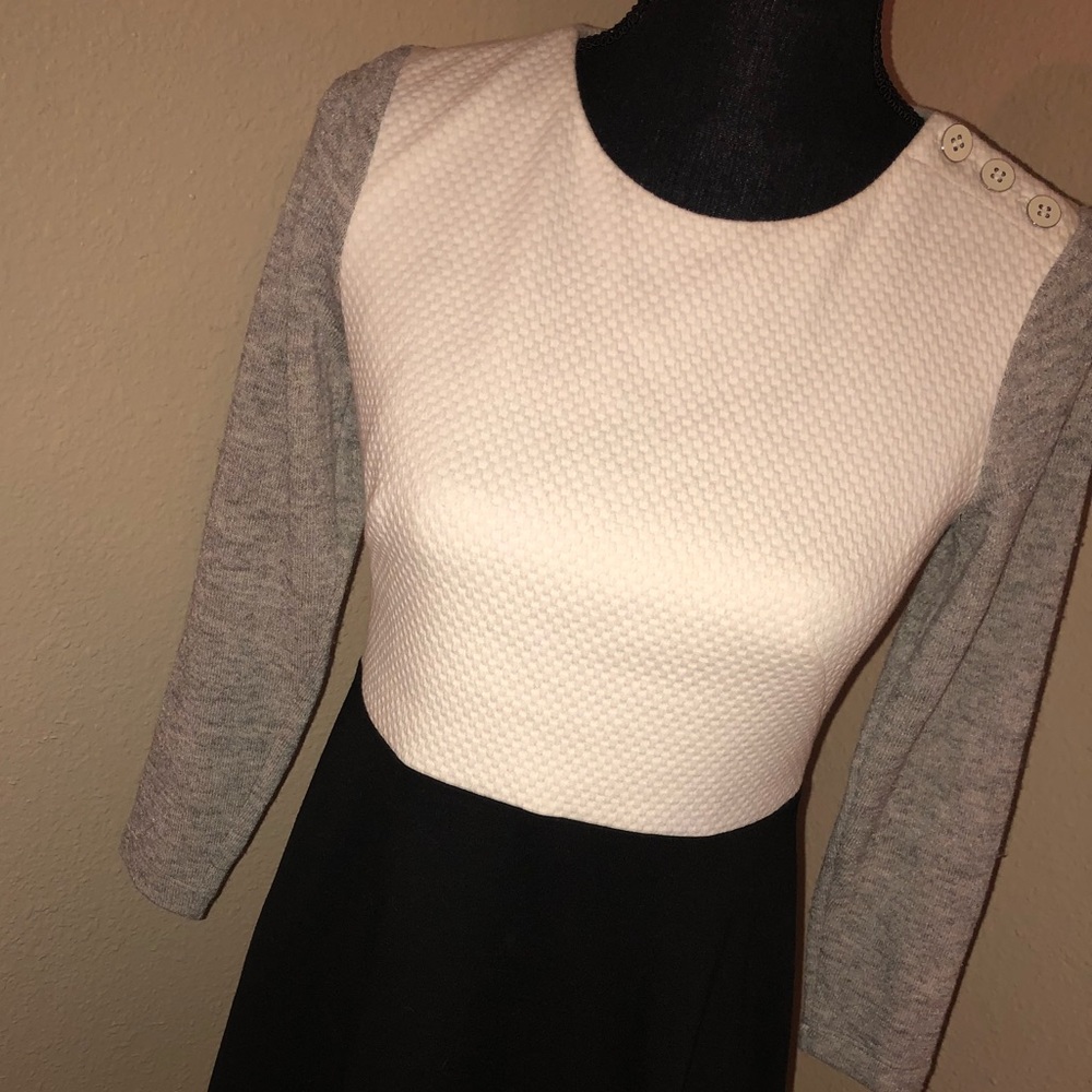 Ann Taylor Loft Size 4P NWT! 💕